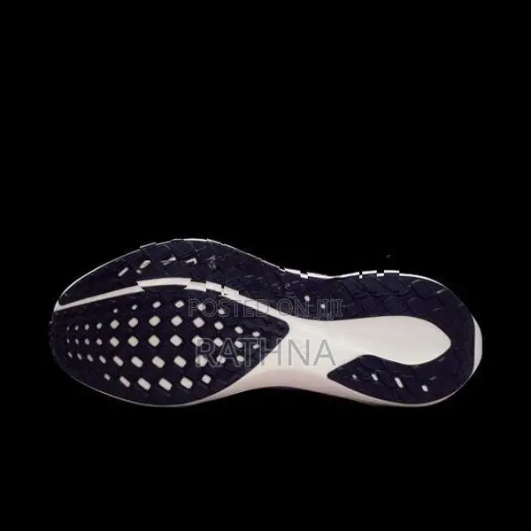 Nike Pegasus 41 (Code FD2723-503)