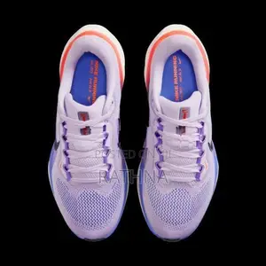 Nike Pegasus 41 (Code FD2723-503)