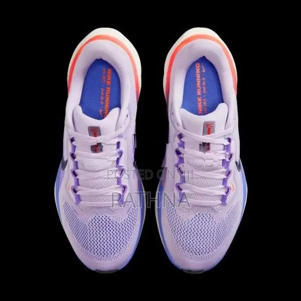 Nike Pegasus 41 (Code FD2723-503)