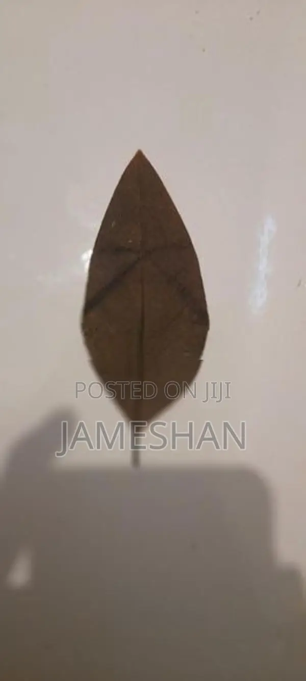 Zebra Leaf