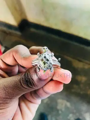 Silver Ring