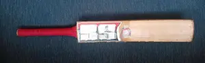 SS Cricket Bat