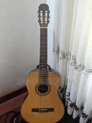 Japan Handmade Guitar