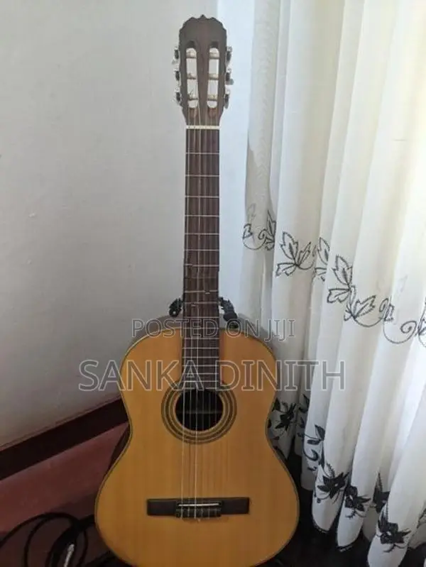 Japan Handmade Guitar