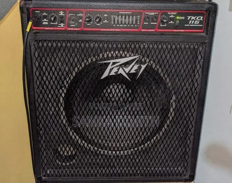 Peavey Bass Backamplifier