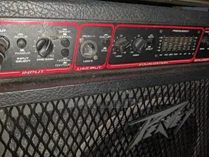 Peavey Bass Backamplifier