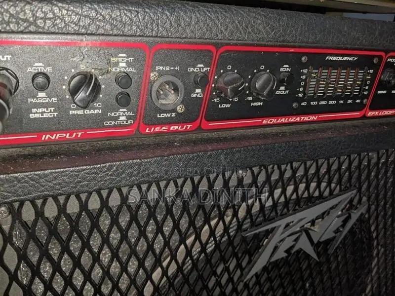 Peavey Bass Backamplifier