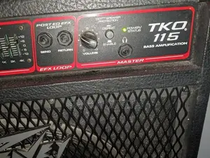Peavey Bass Backamplifier