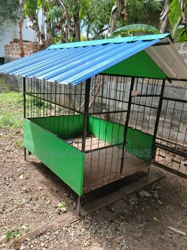 Dog Cage