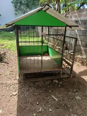 Dog Cage