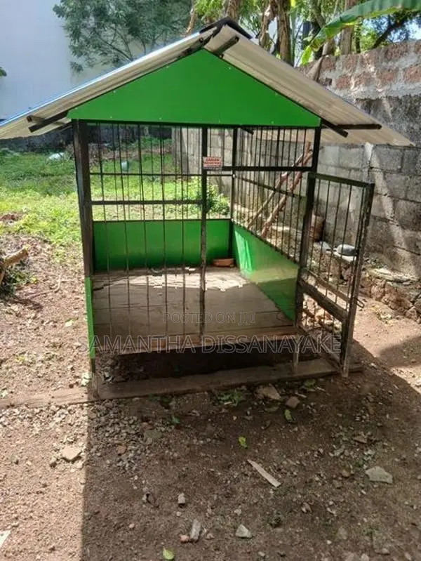 Dog Cage