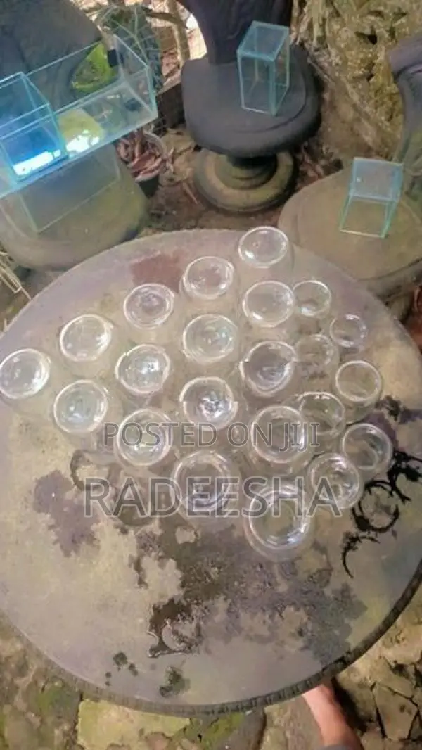 Fish Bottle