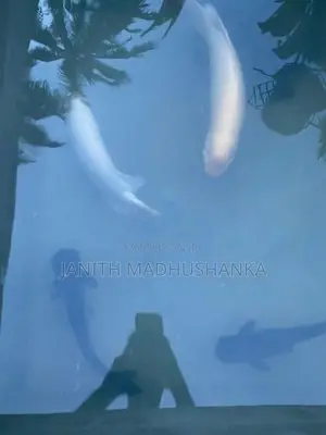 Jam Gourami with Cat Fishes