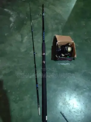 Fishing Rod