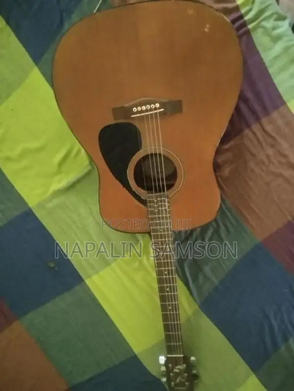F310 Guitar