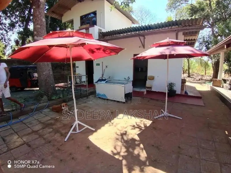 Umbrella