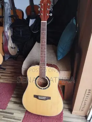 ViF Acoustic Guitar