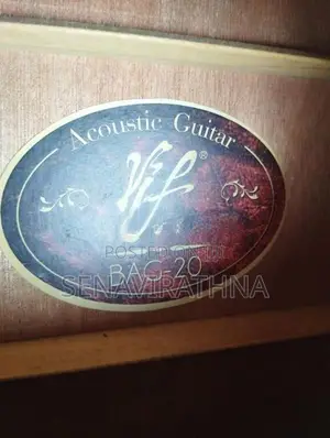 ViF Acoustic Guitar