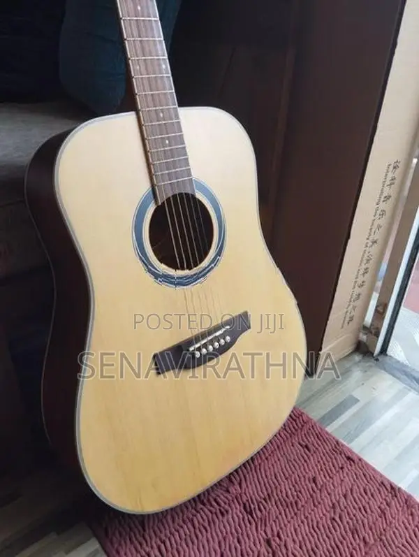 ViF Acoustic Guitar