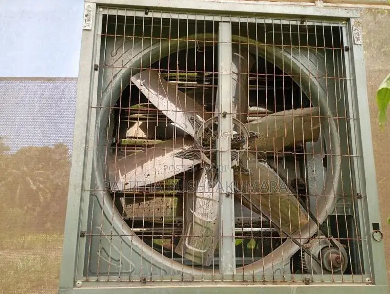 Green House Fan 2k Vikinemata
