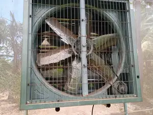 Green House Fan 2k Vikinemata