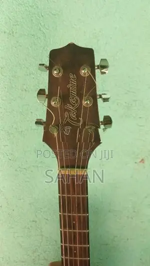 Takamine G Series Acoustic Guitar