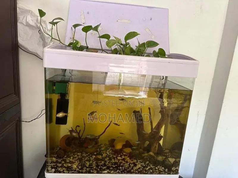 Imported Fish Tank