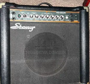 Stony HG-300R Portable Combo Amplifier