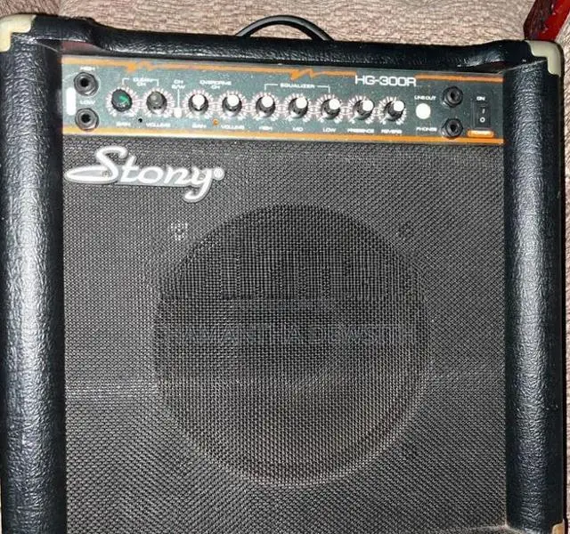 Stony HG-300R Portable Combo Amplifier