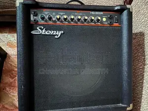 Stony HG-300R Portable Combo Amplifier
