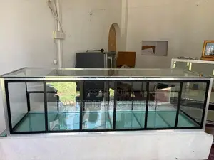 Small Glass Showcase