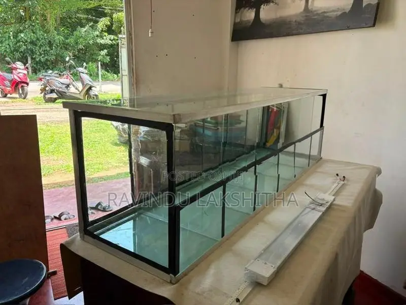 Small Glass Showcase