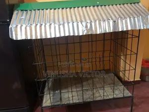 Dog Cage