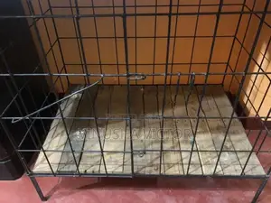 Dog Cage