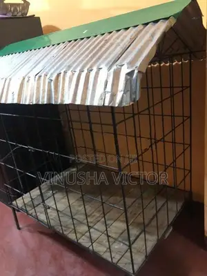 Dog Cage