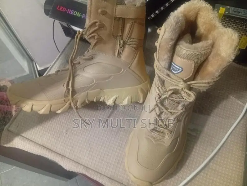 Hiking Shoe