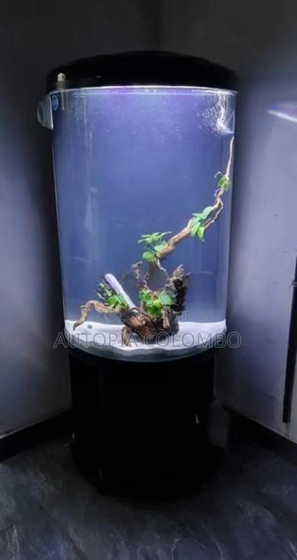 Fish Tank