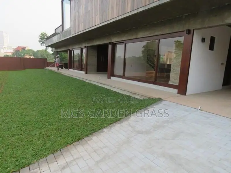 Malaysian Grass Pidali With Carpet