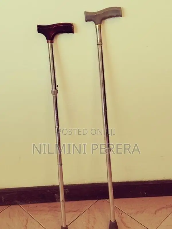 Walking Stick
