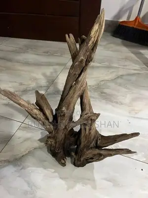 Driftwood