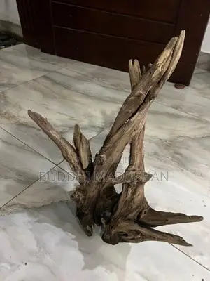 Driftwood
