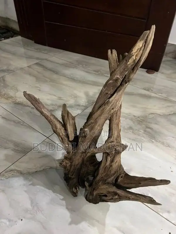 Driftwood