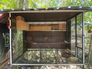 Birds Cage (3.5x2.5x2.5)