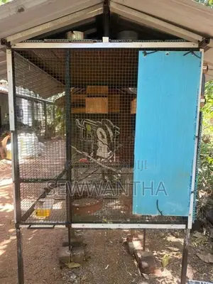 Birds Cage (3.5x2.5x2.5)