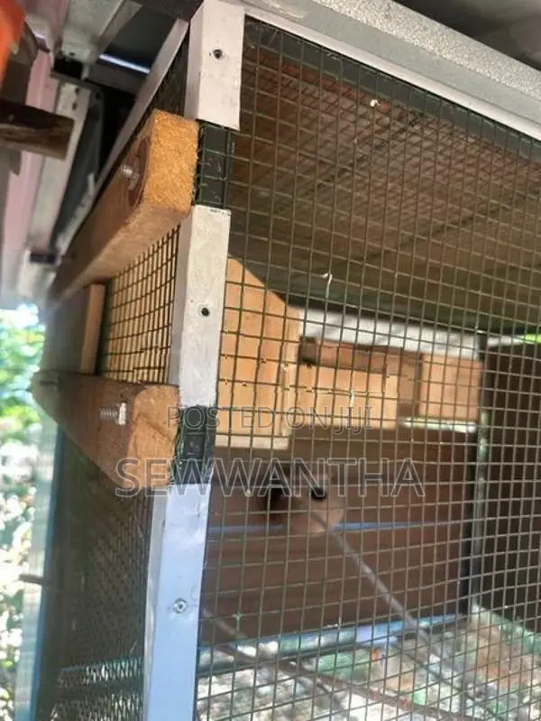 Birds Cage (3.5x2.5x2.5)