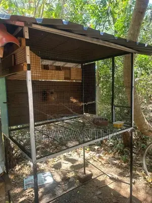 Birds Cage (3.5x2.5x2.5)