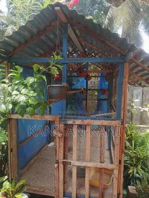 கோழிகூடு