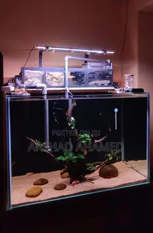 Fish Tank