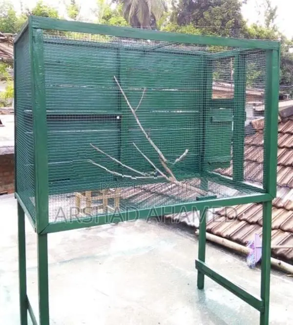 Bird Cage