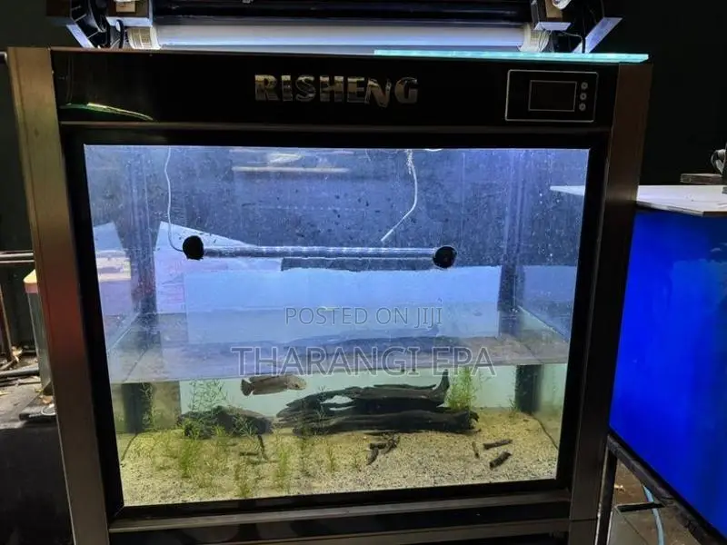 Imported Fish Tank
